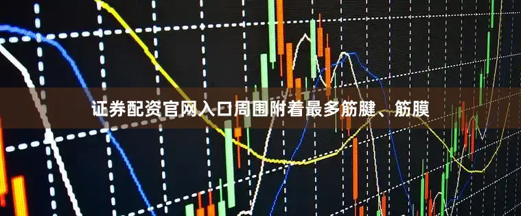 证券配资官网入口周围附着最多筋腱、筋膜