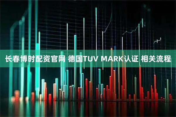 长春博时配资官网 德国TUV MARK认证 相关流程