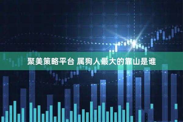 聚美策略平台 属狗人最大的靠山是谁