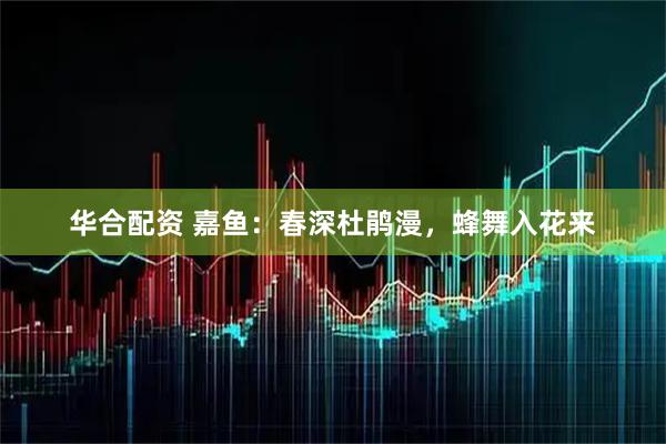 华合配资 嘉鱼：春深杜鹃漫，蜂舞入花来